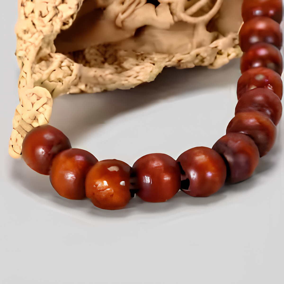 The Shell
